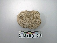 藏品(小砝碼型石網墜)的圖片